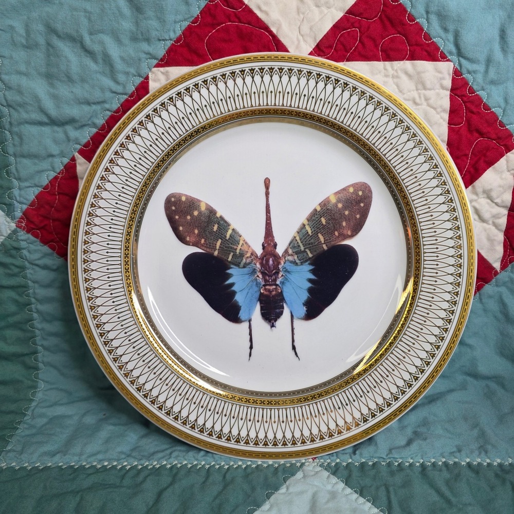 10 Strawberry Street Iriana Gold Moth Insect Porcelain Gallery Wall Plate 10.5"